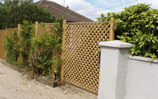 Trellis Fencing