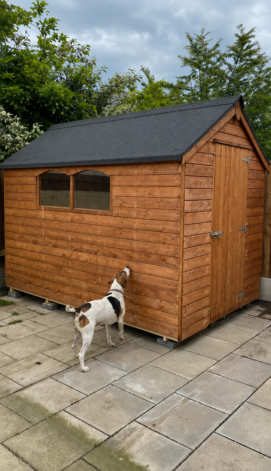 Avondale Shed